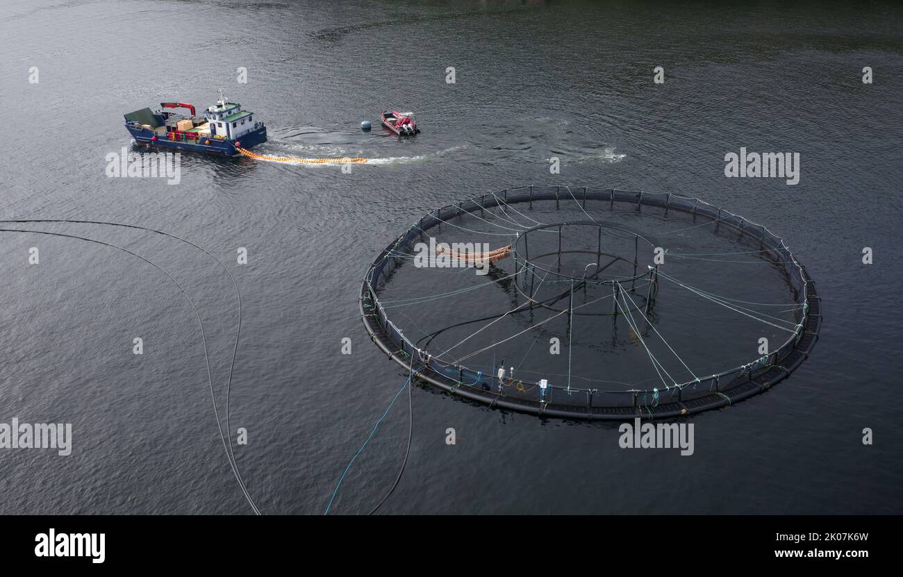 Fish farm salmon round nets in natural environment Loch Fyne Arygll and Bute Scotland Stock Photo