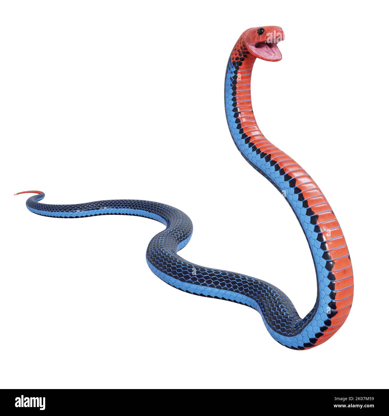 Blue coral snake 3D illustration Stock Photo Alamy