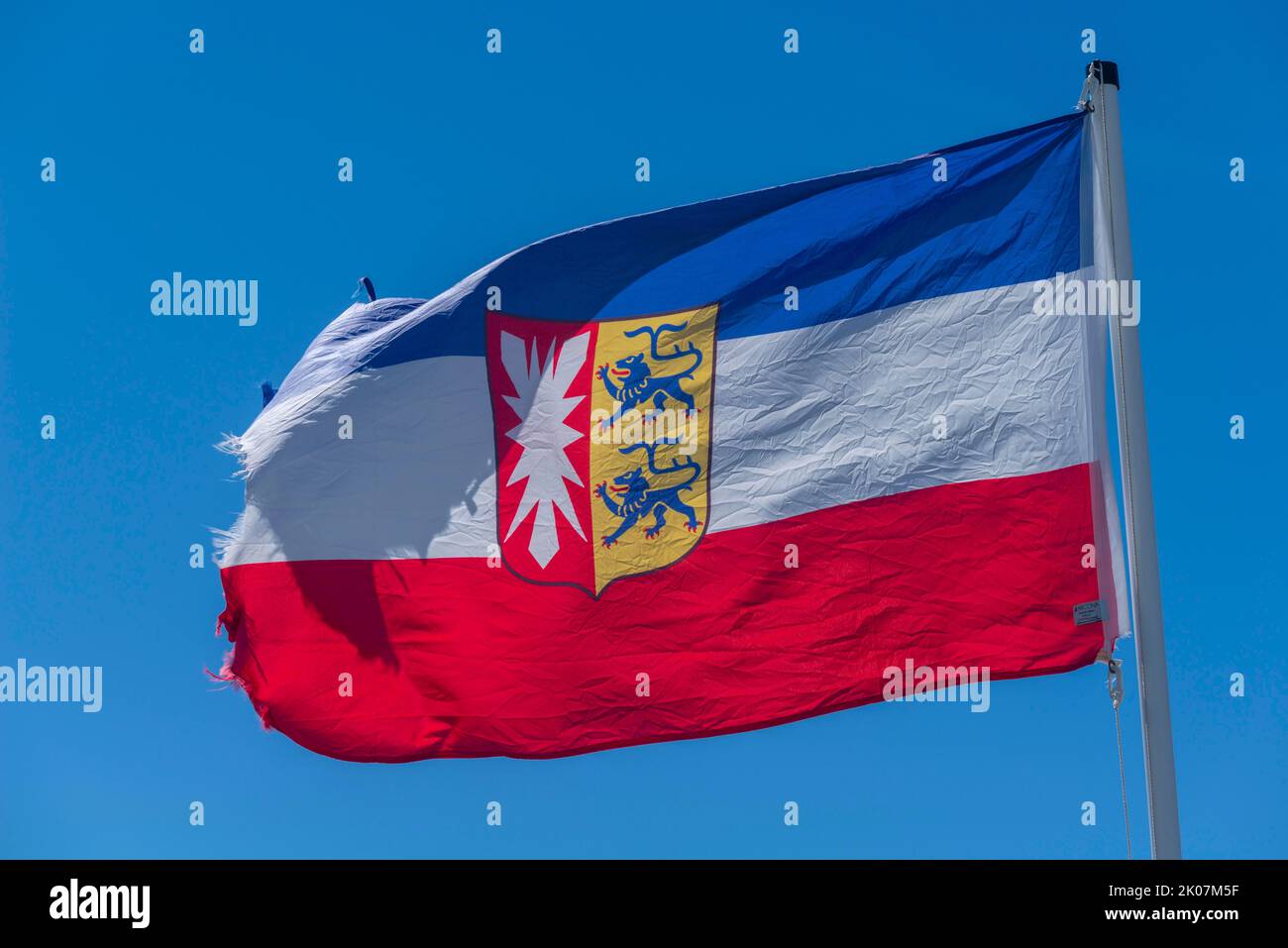Flag with arms, blue white red, two Schleswigian lions, Holstein nettle leaf, stripes, torn, blue background, Schleswig-Holstein, Germany Stock Photo