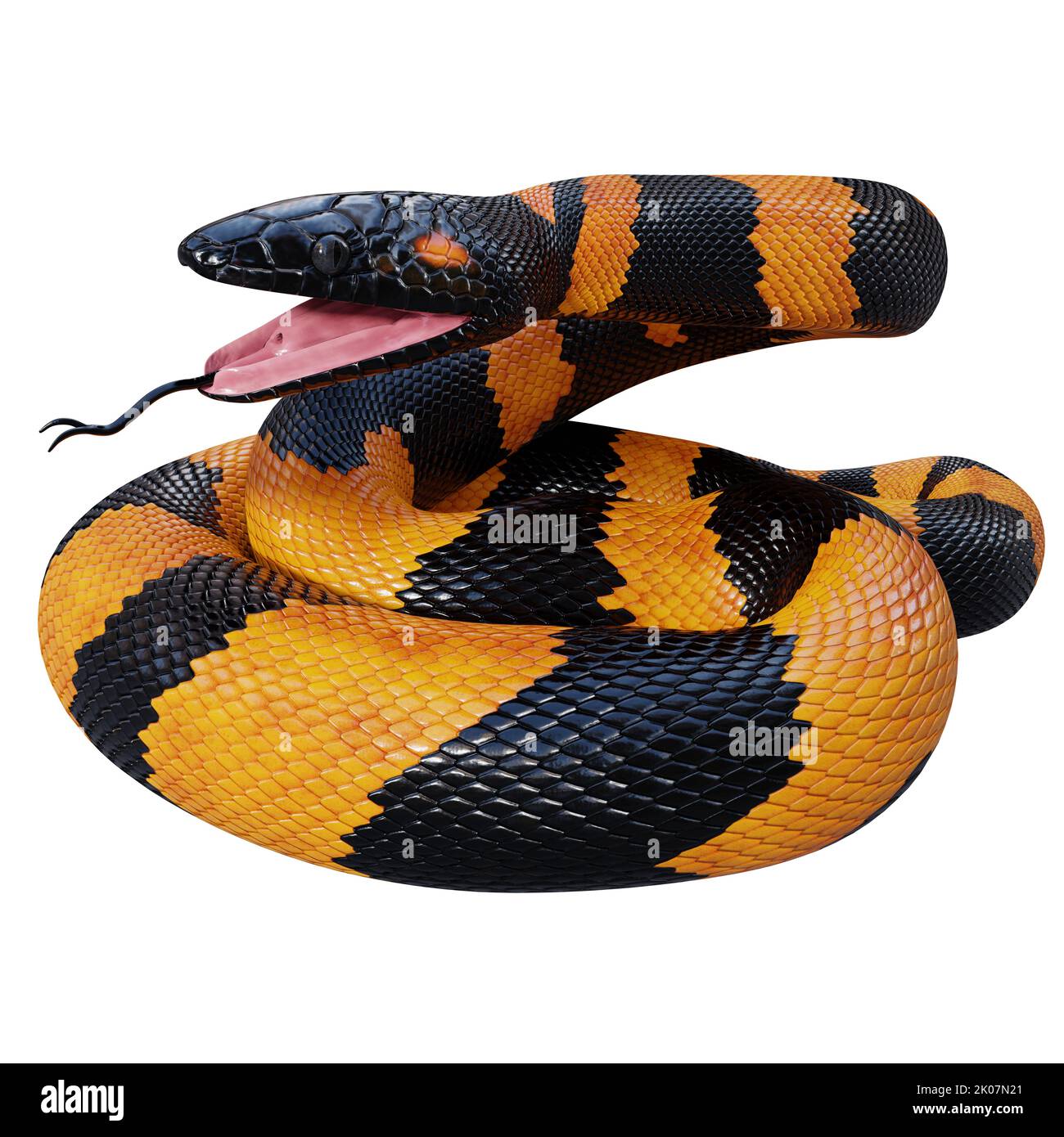 Bismarck ringed python 3D illustration. Stock Photo