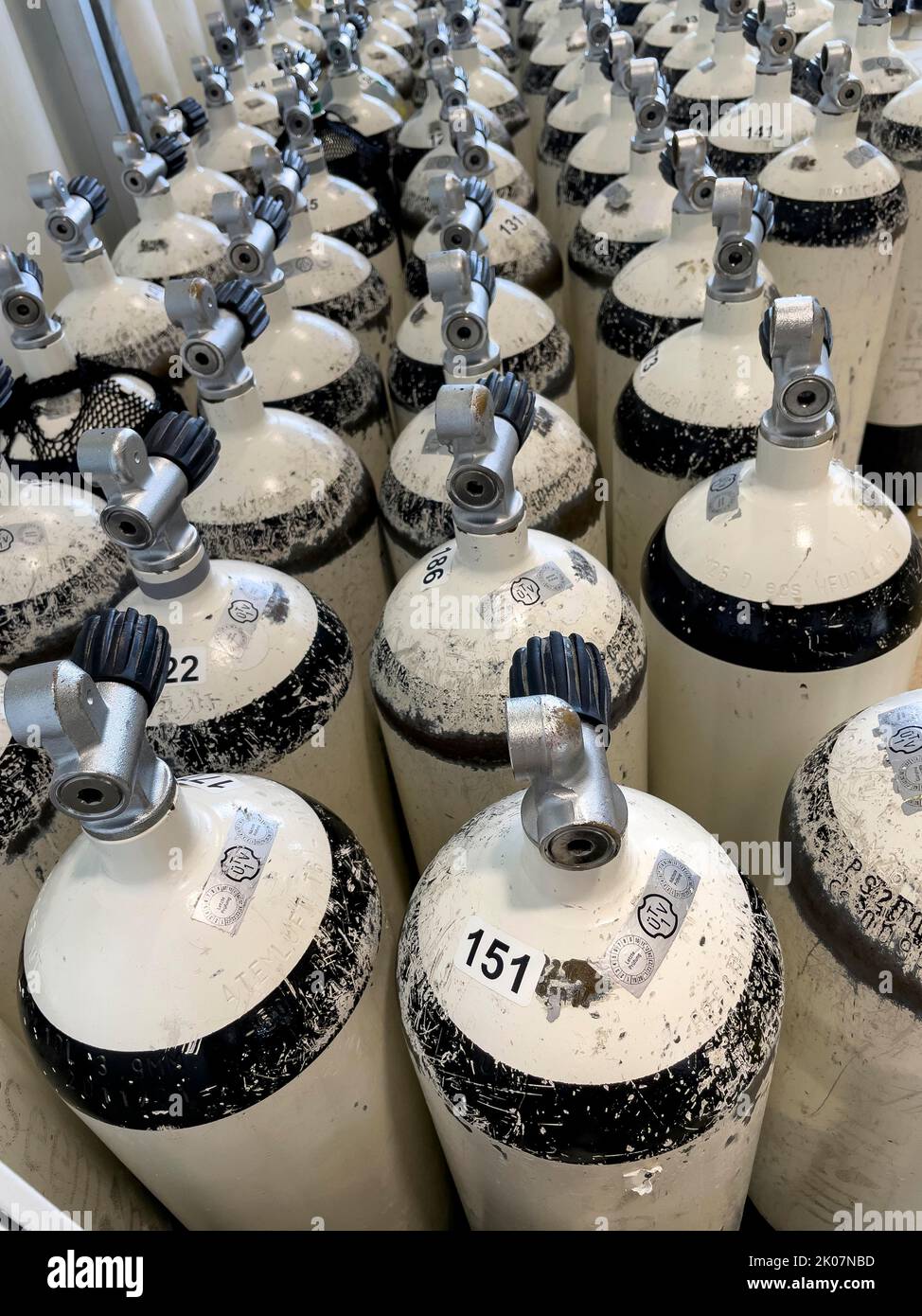 TUeV tested 10 litre scuba tanks scuba tanks for recreational divers