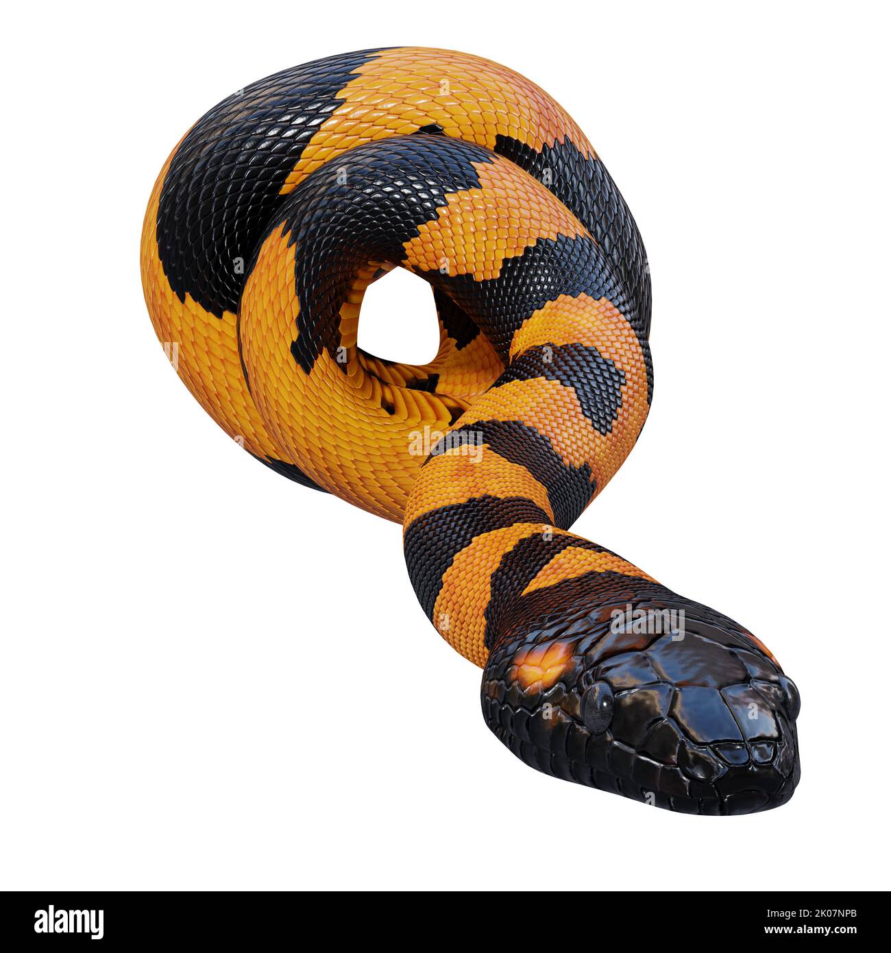 Bismarck ringed python 3D illustration. Stock Photo