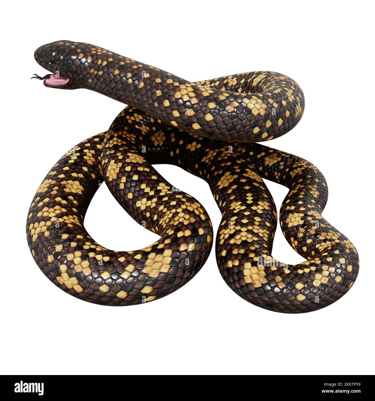 Calabar Python 3D illustration Stock Photo - Alamy