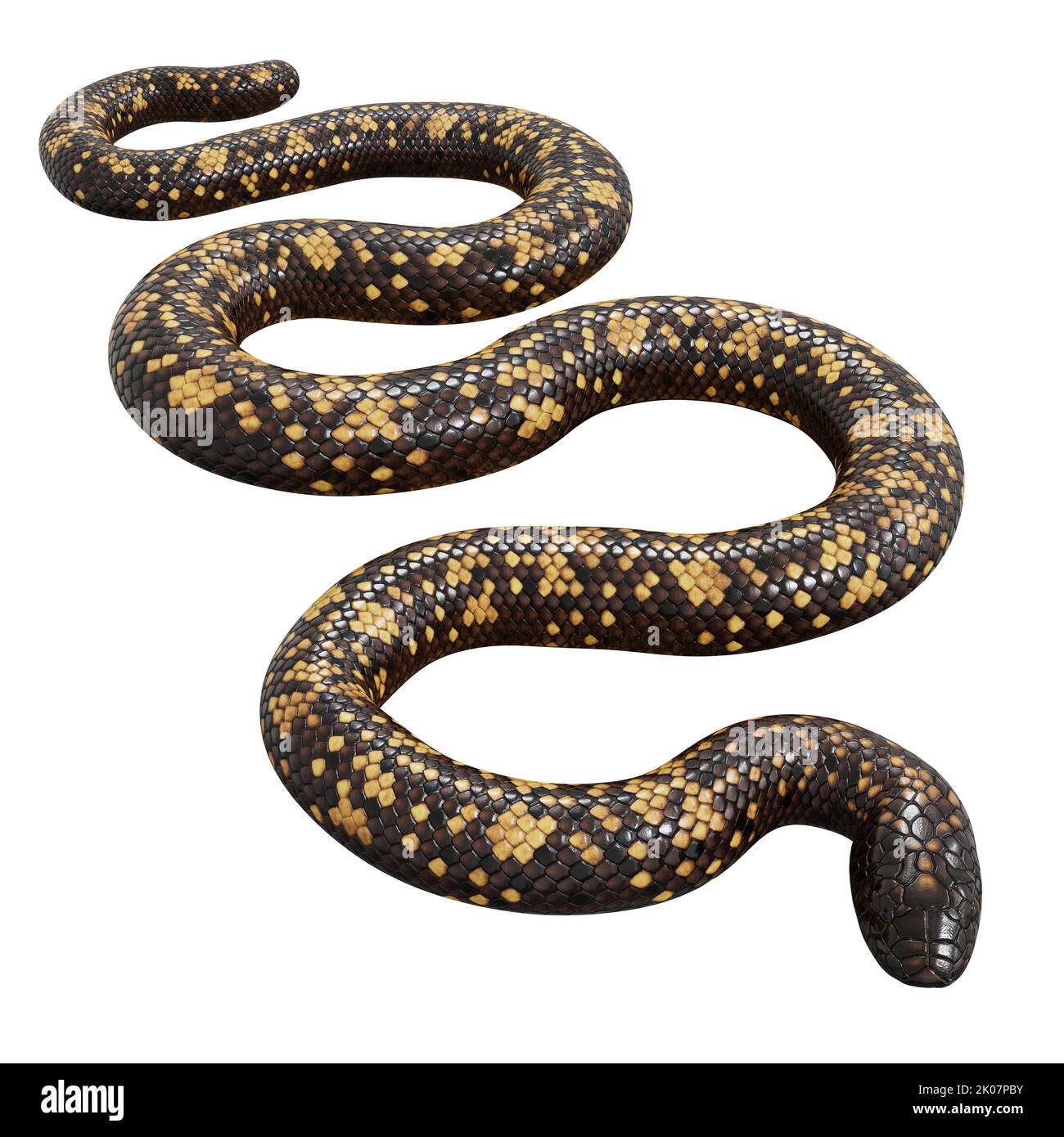 Calabar Python 3D illustration Stock Photo - Alamy
