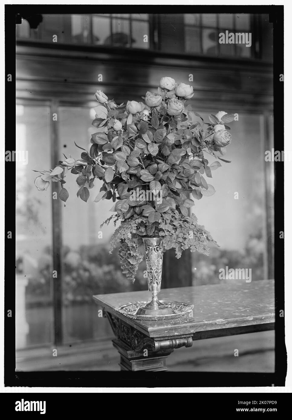 Bouquet, between 1911 and 1920. Stock Photo
