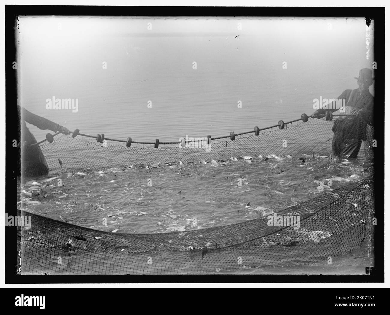 Net fishing, between 1909 and 1923 Stock Photo Alamy