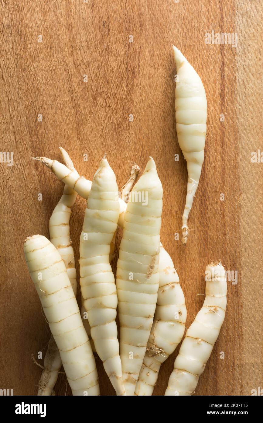 pile of organic arrowroot rhizomes on a wooden surface, maranta arundinacea, tropical plant roots taken from straight from above with copy space Stock Photo