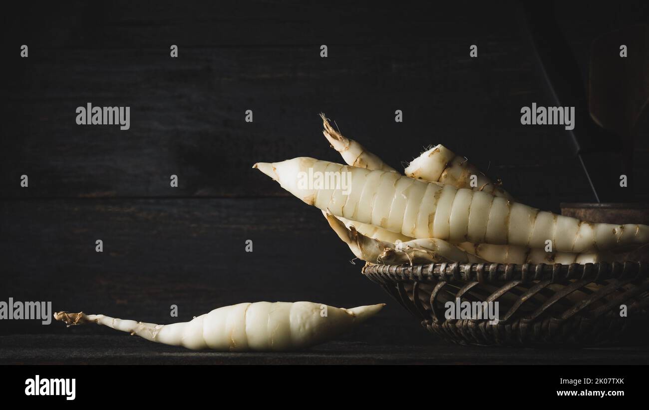 close-up of organic arrowroot rhizomes in a basket, maranta arundinacea, tropical plant roots in dark moody background,soft-focus with copy space Stock Photo