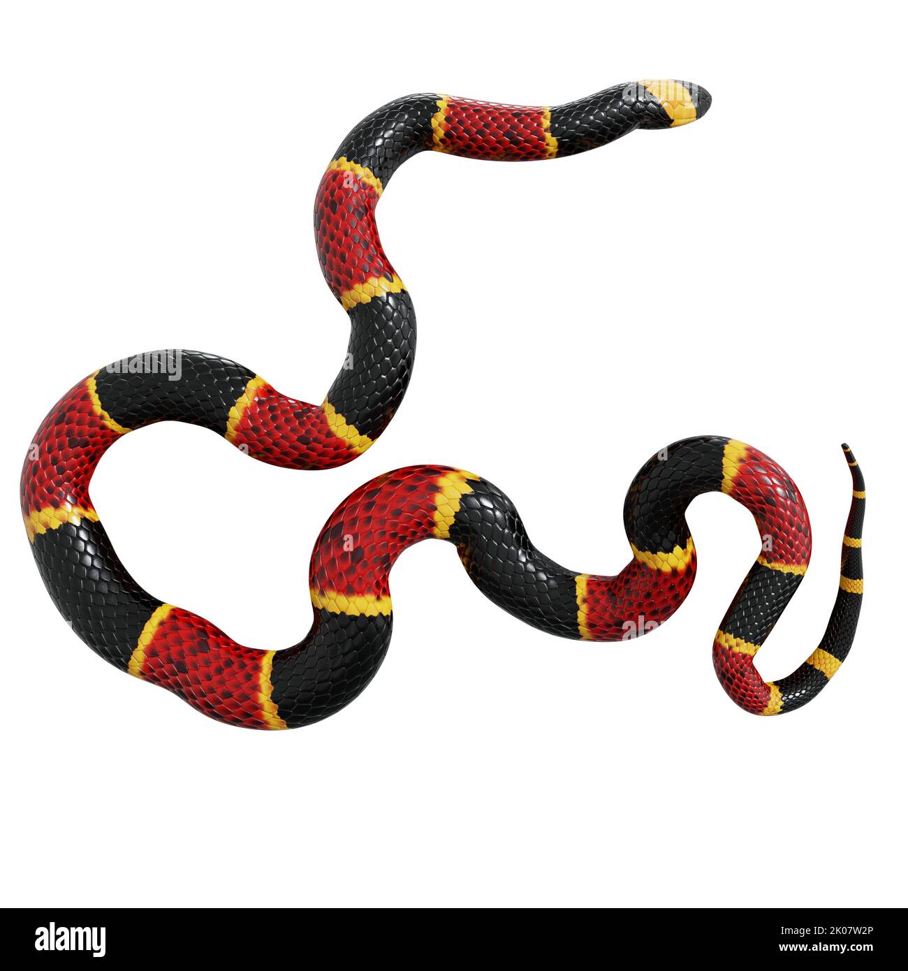 Eastern coral snake 3D illustration Stock Photo Alamy