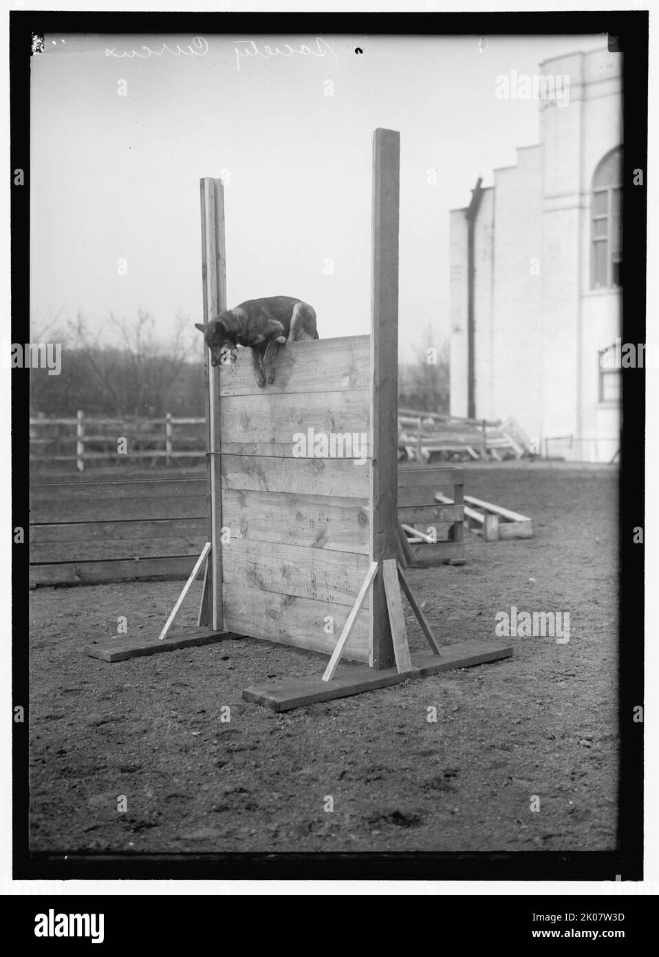 Society Circus, between 1909 and 1923. Stock Photo