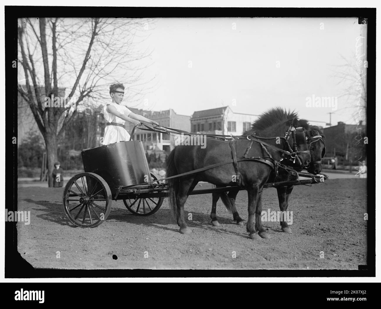 Deverow child, between 1910 and 1917. Boy in Roman dress driving a chariot pulled by ponies, USA. Stock Photo