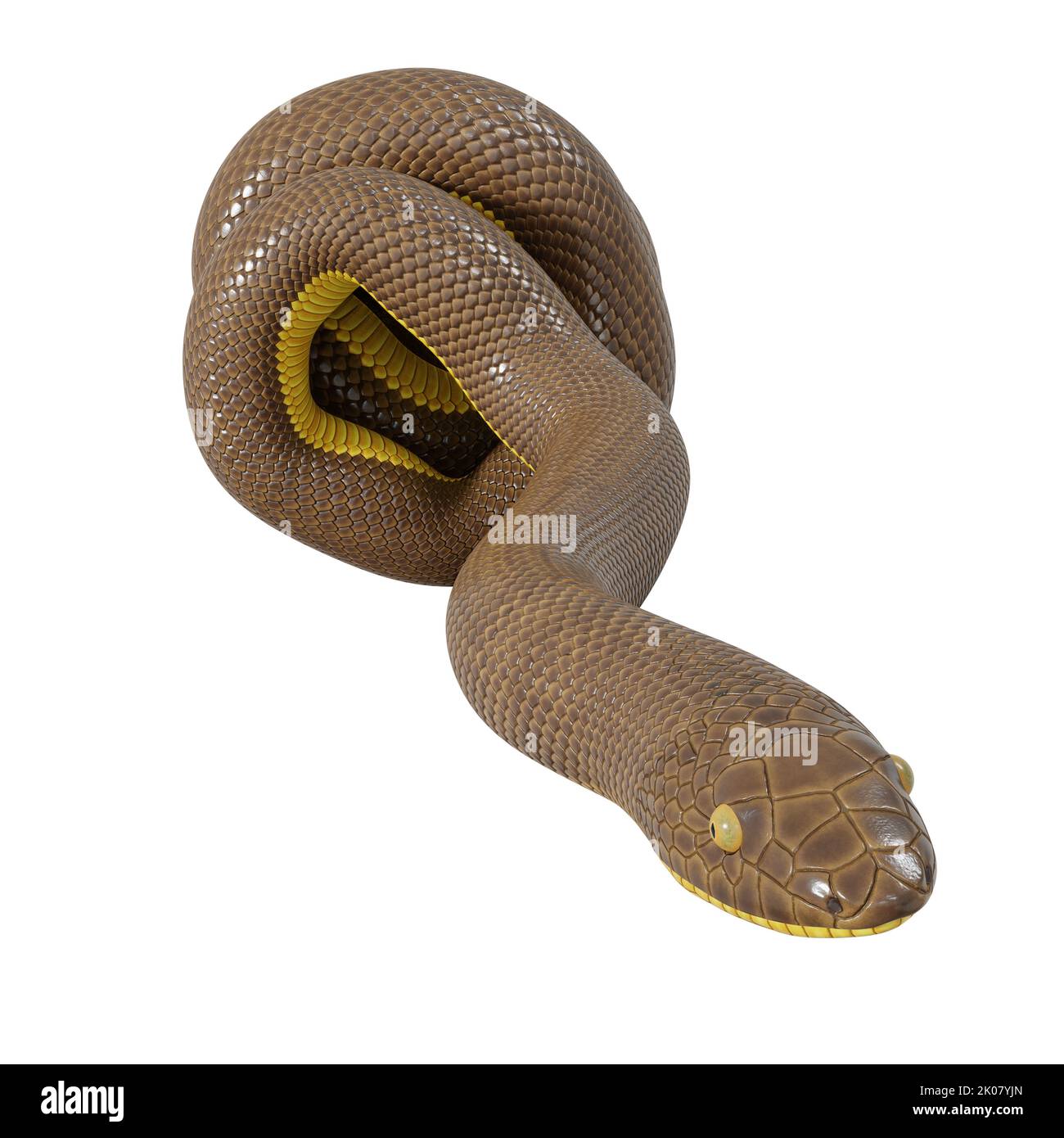 Malayan Krait 3D Illustration Stock Photo - Alamy