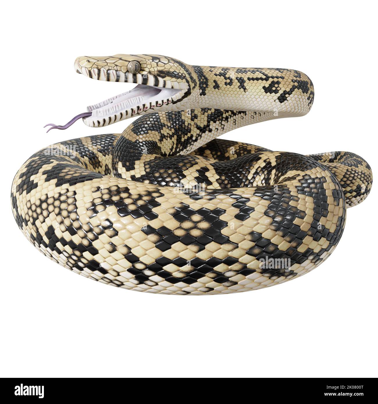 Scrub python 3D illustration Stock Photo - Alamy