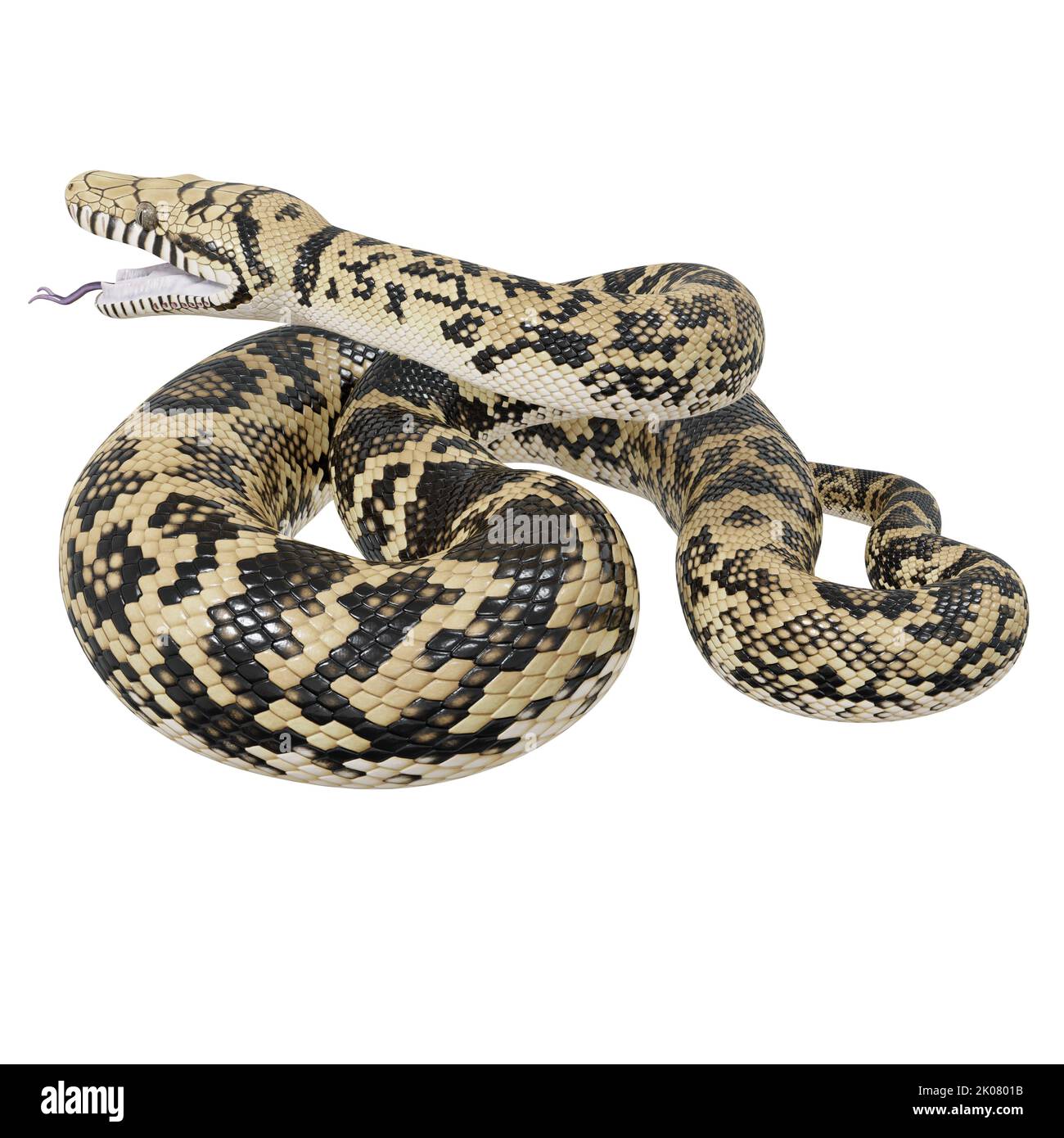 Scrub python 3D illustration Stock Photo - Alamy