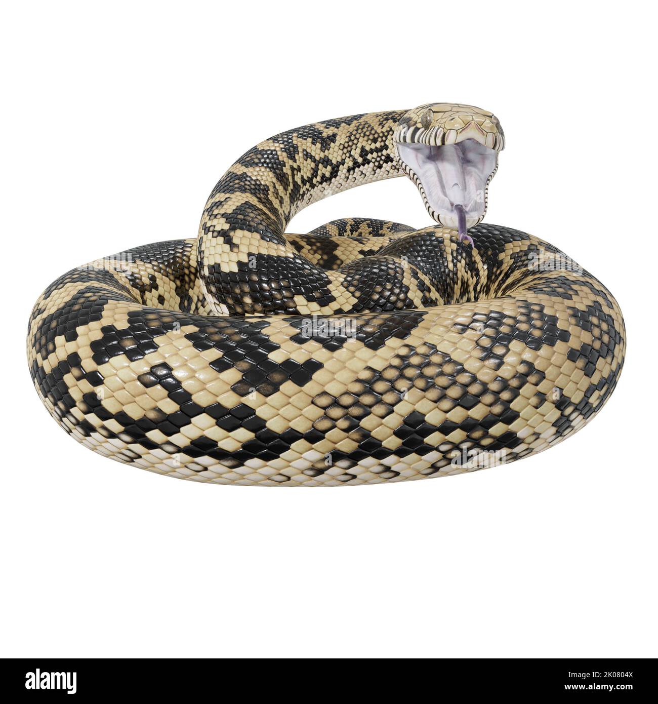 Scrub python 3D illustration Stock Photo - Alamy
