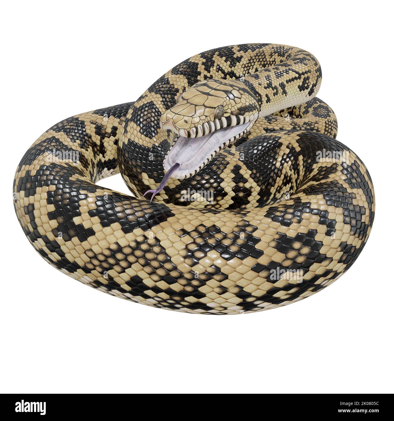 Scrub python 3D illustration Stock Photo - Alamy