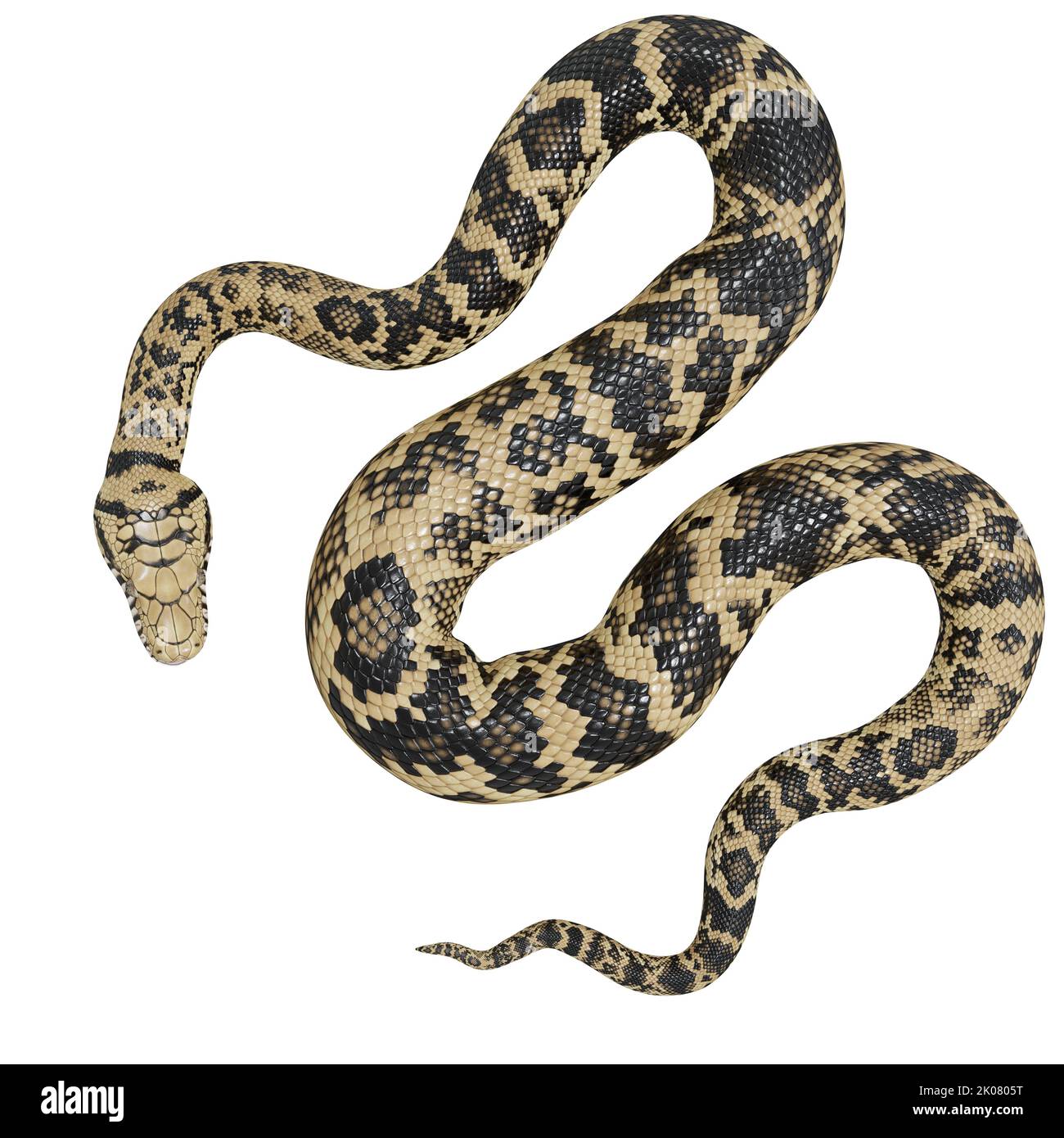 Scrub python 3D illustration Stock Photo - Alamy