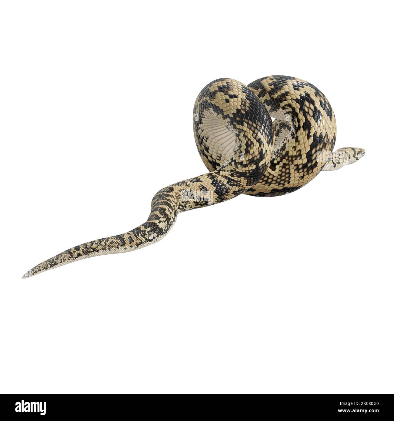 Scrub python 3D illustration Stock Photo - Alamy