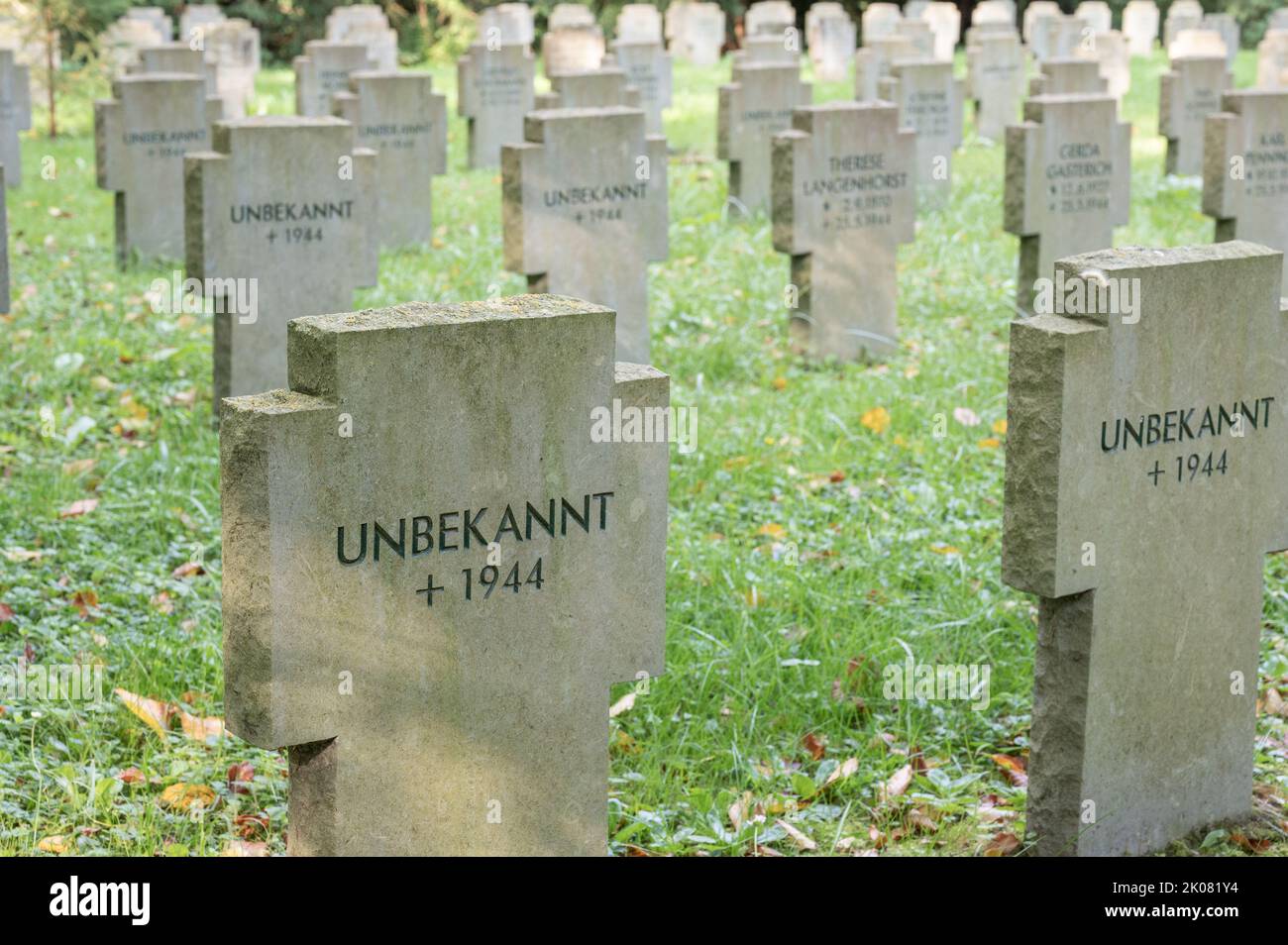 Honoring our victims of war hi-res stock photography and images - Alamy