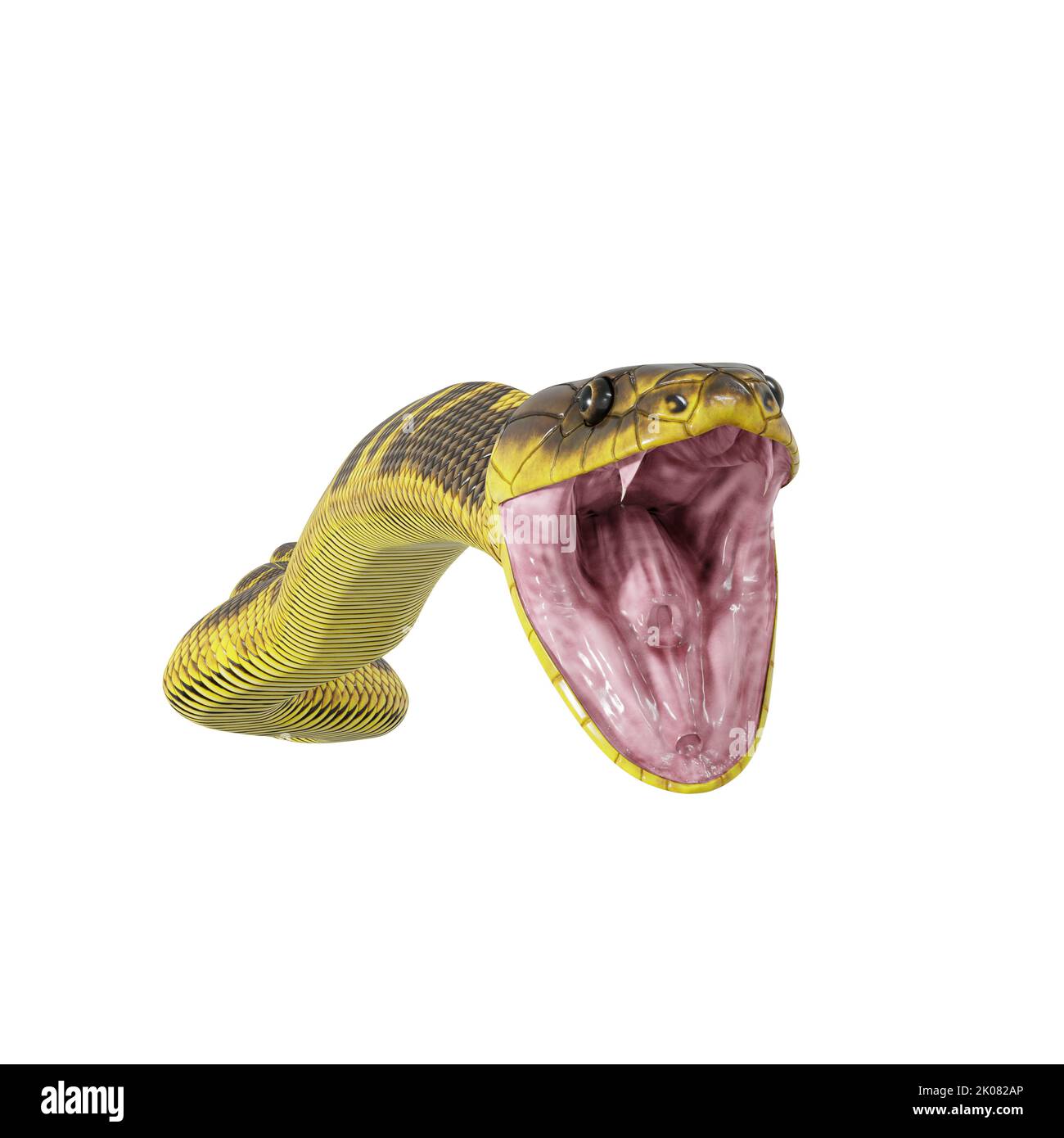 Zebra jungle carpet python 3D illustration Stock Photo - Alamy