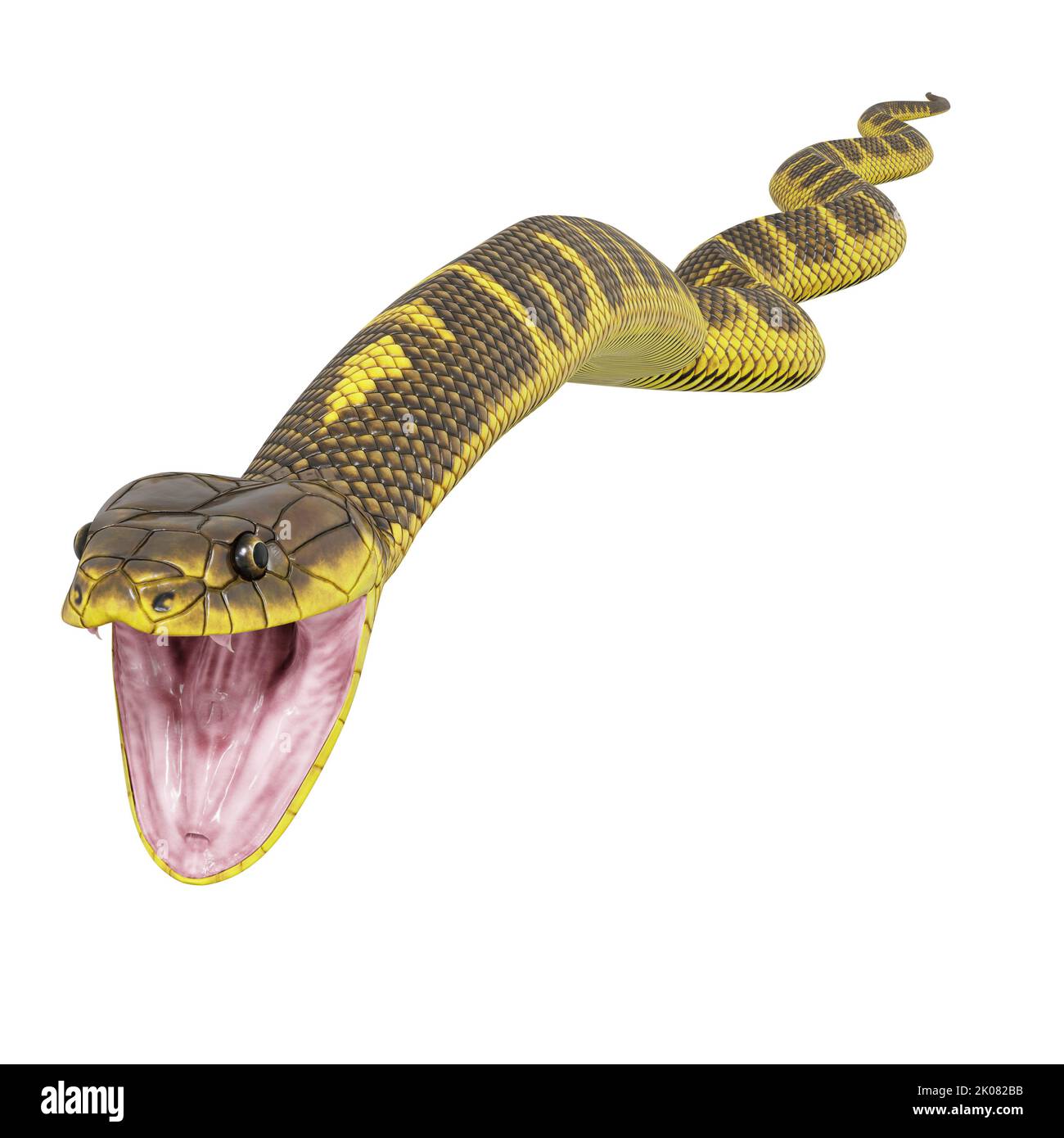 Zebra jungle carpet python 3D illustration Stock Photo - Alamy