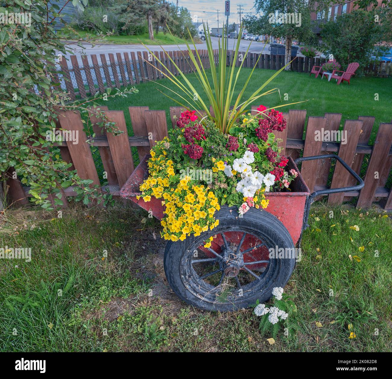 Old garden cart with a variety of flowers at Yellowknife Stock Photo