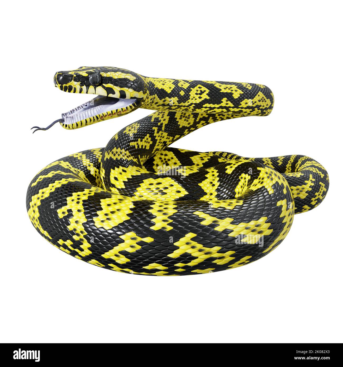 3D illustration of Zebra jungle carpet python. Stock Photo