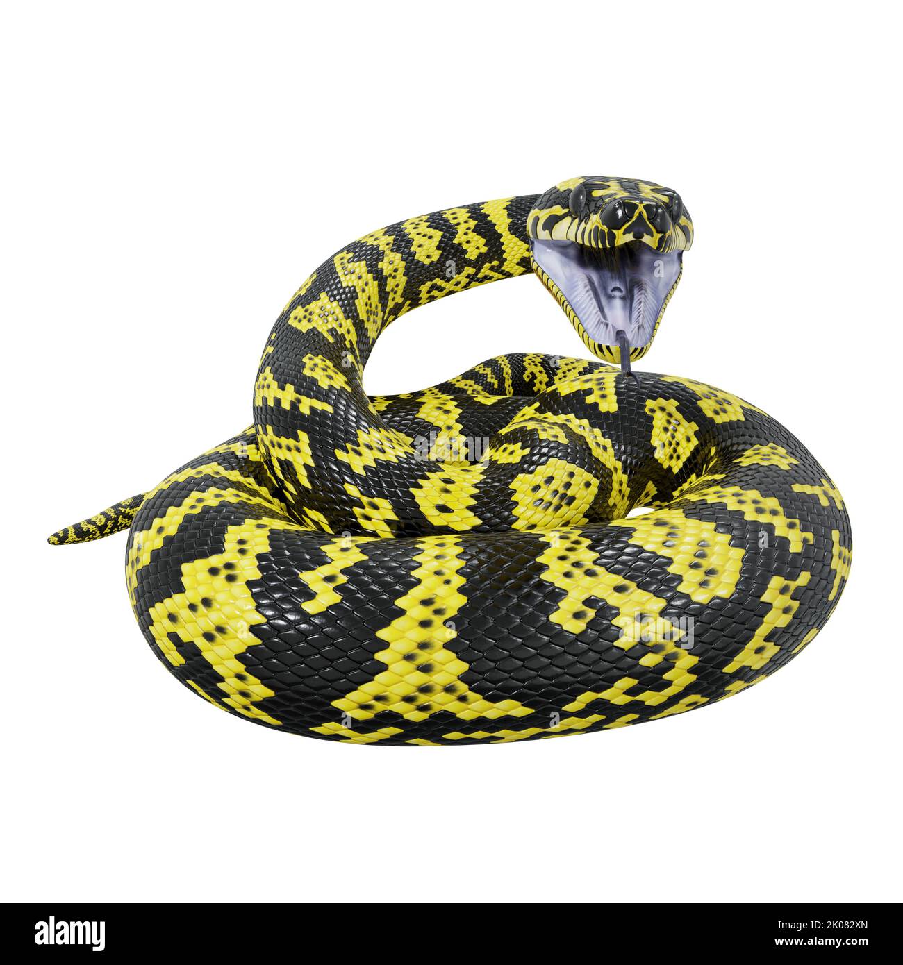 3D illustration of Zebra jungle carpet python Stock Photo Alamy