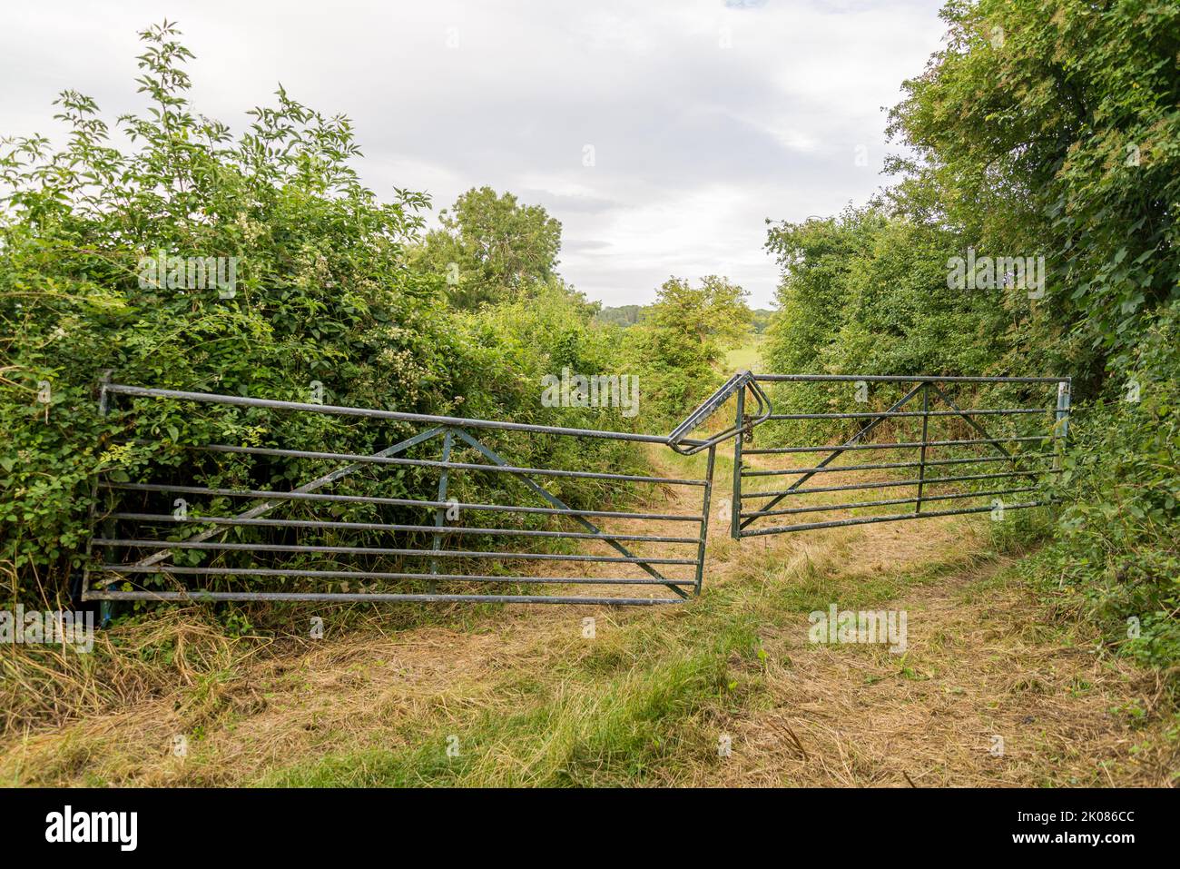 Metal bar gates, uneven, chained, closed shut Stock Photo Alamy