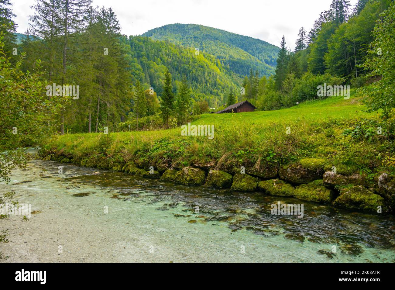 The Krumme Steyr river near the village Hinterstoder and famous lake Schiederweiher. Pure fresh water near Austrian Alps and mountains peaks. Soft col Stock Photo
