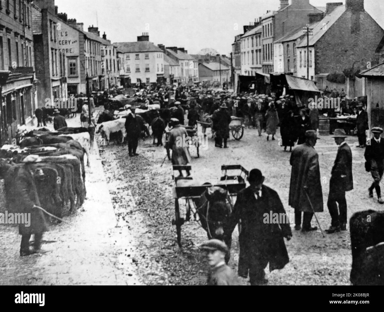 Cattle Fair at Cashel, County Tipperary, Ireland. Black and white