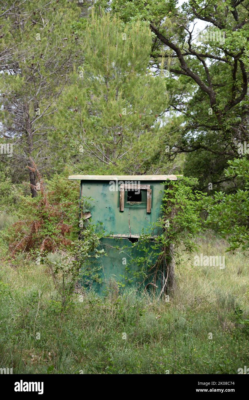 Green Wooden Hut, Hunting Hide, Hunting Blind or Hunter's Hide in Forest Provence France Stock Photo