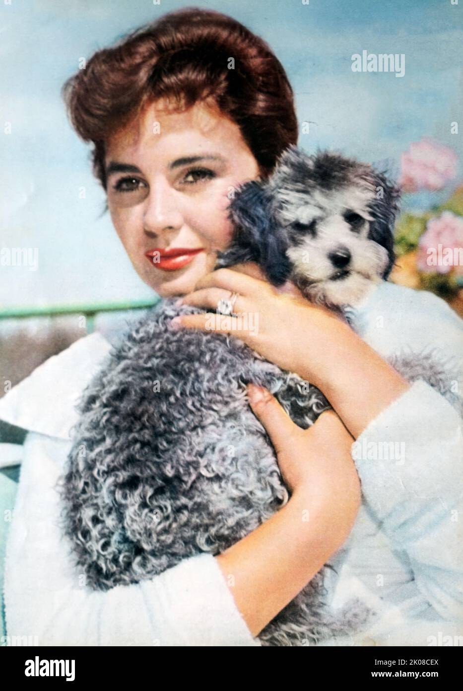 Jean Simmons in the title role in MGM's Young Bess, her first American role with husband Stewart Granger. Jean Merilyn Simmons, OBE (31 January 1929 - 22 January 2010) was a British actress and singer Stock Photo