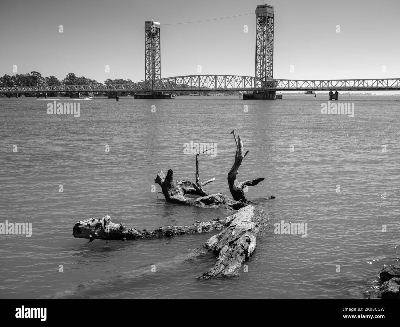 The Rio Vista Draw Bridge on the Sacramento River in California with a drifting tree washed ashore. Stock Photo