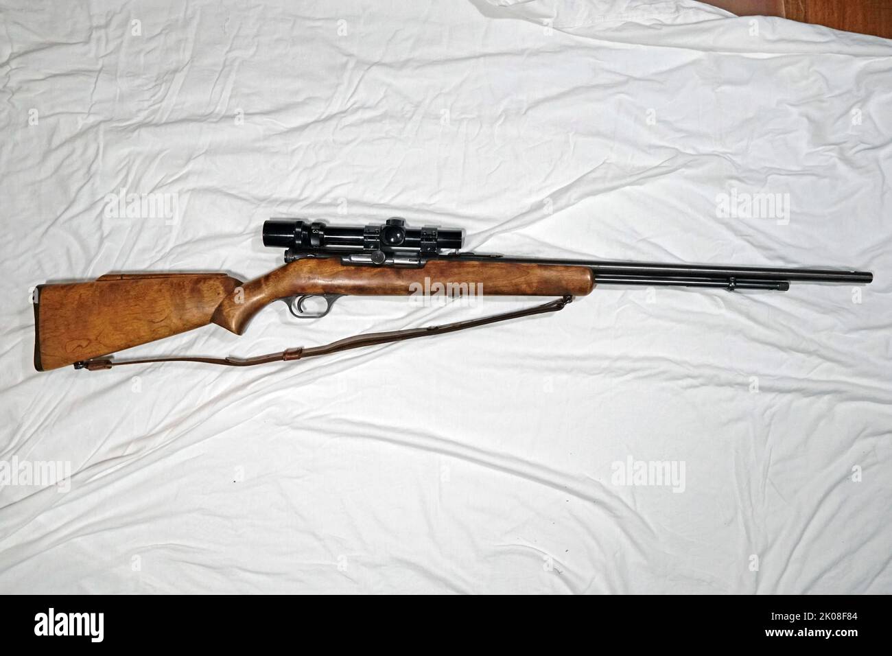 Semi-automatic .22 cal hunting rifle Stock Photo