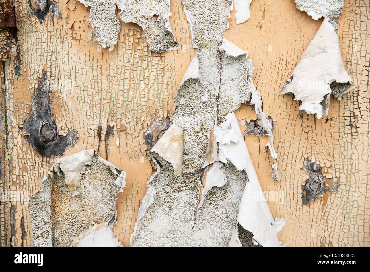 Wood surface with peeling white and yellow paint texture background