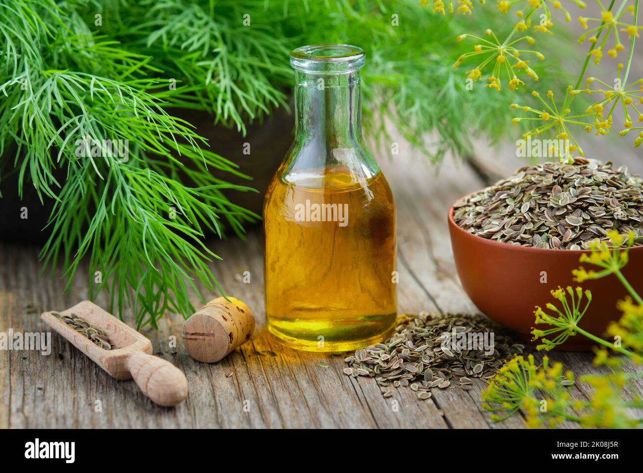 Bottle of dill seeds oil, bunch of fresh green dill and bowl of dried fennel seeds on wooden board. Alternative herbal medicine. Useful seasoning for Stock Photo