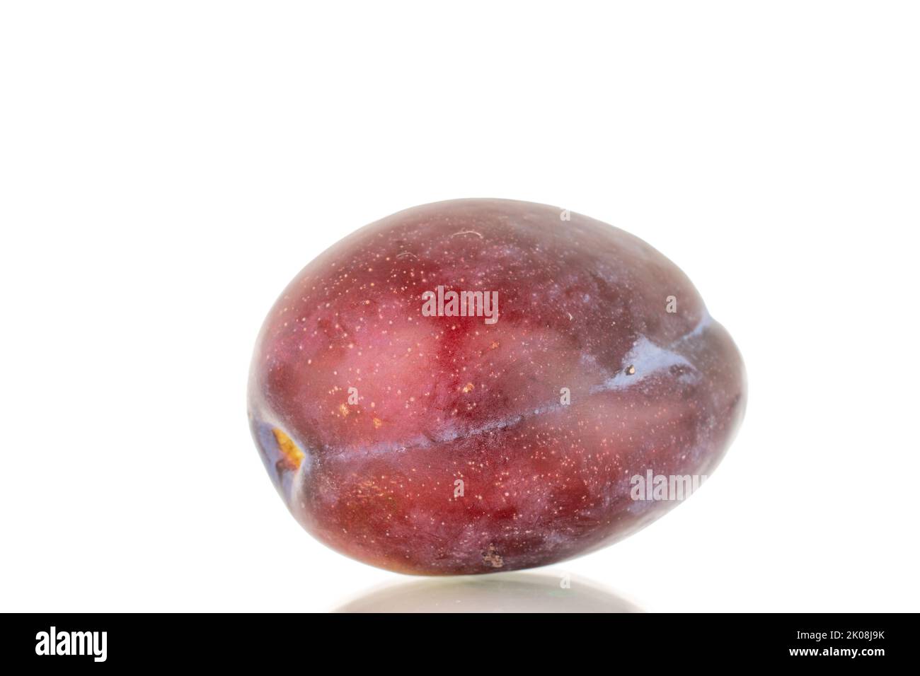 One ripe plum, macro, isolated on a white background. Stock Photo