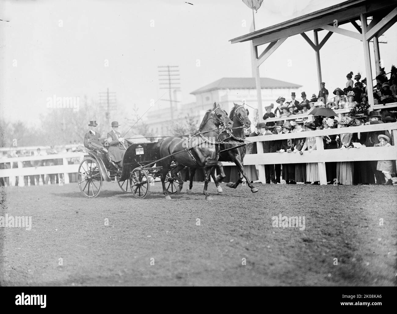 Horse Shows. Mclean Entries, 1911 Stock Photo - Alamy