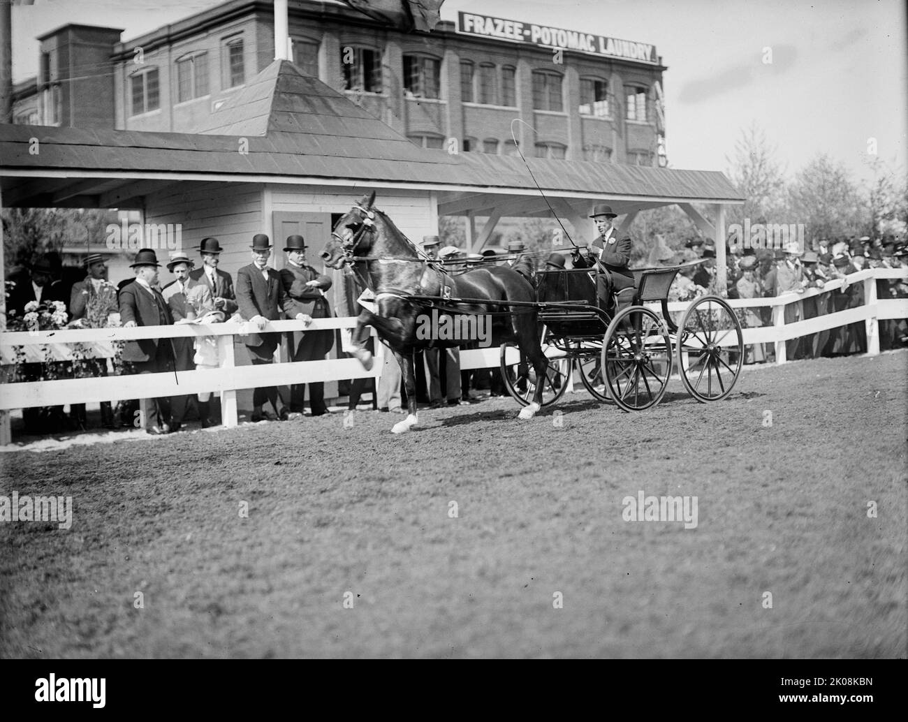 Horse Shows. Unidentified Man Driving. Gen. Allen And Secretary
