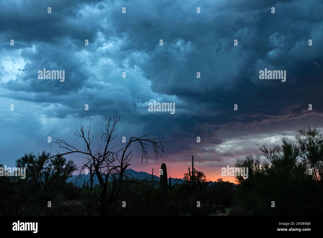 Storm at sunset in the sonoran desert Stock Photo - Alamy
