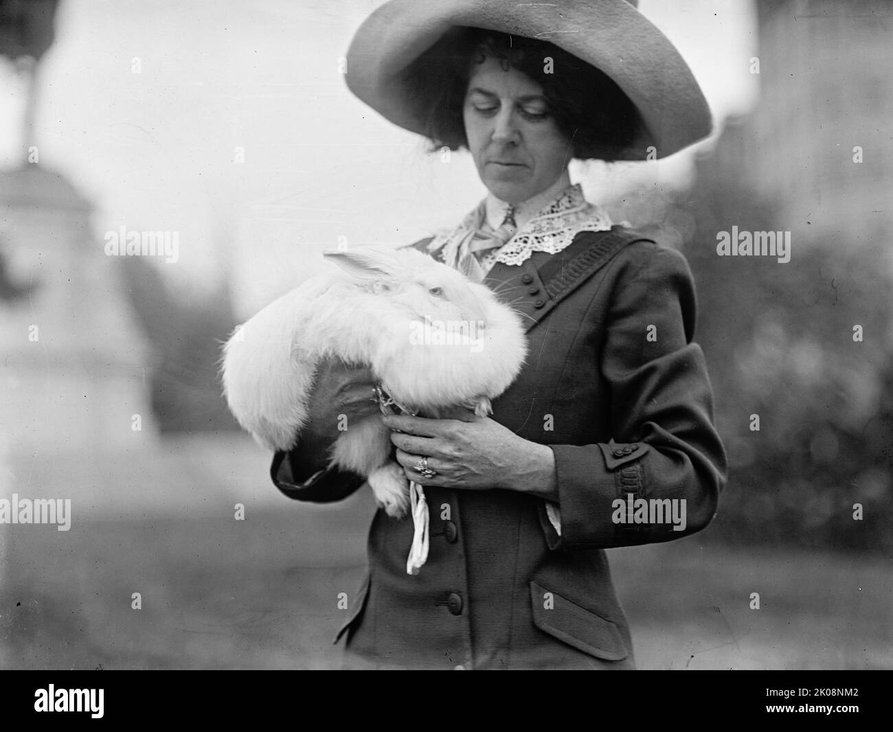 Mrs. J.R. Band with Pet Rabbit, 1911. Stock Photo