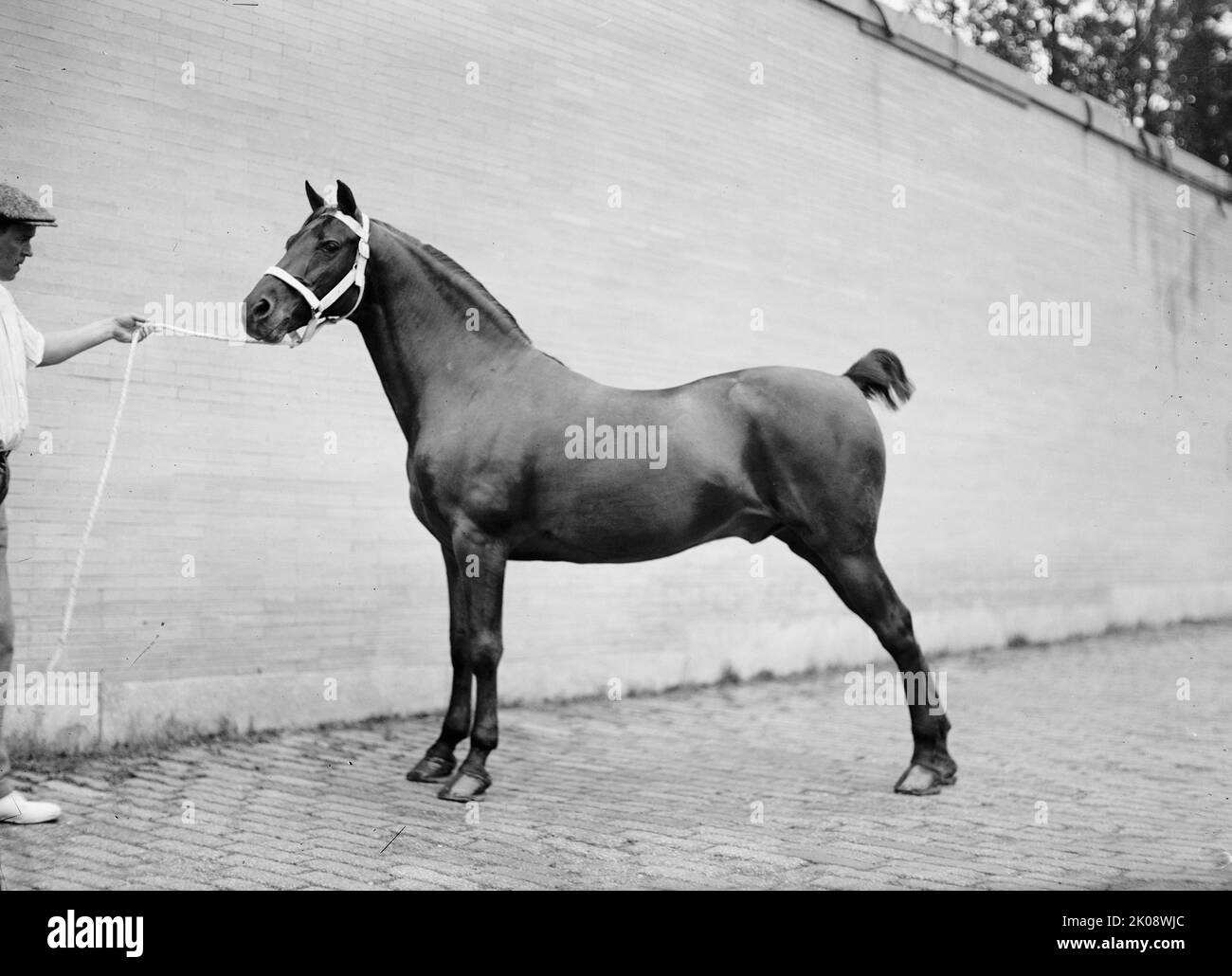 The george weldon Black and White Stock Photos & Images - Alamy