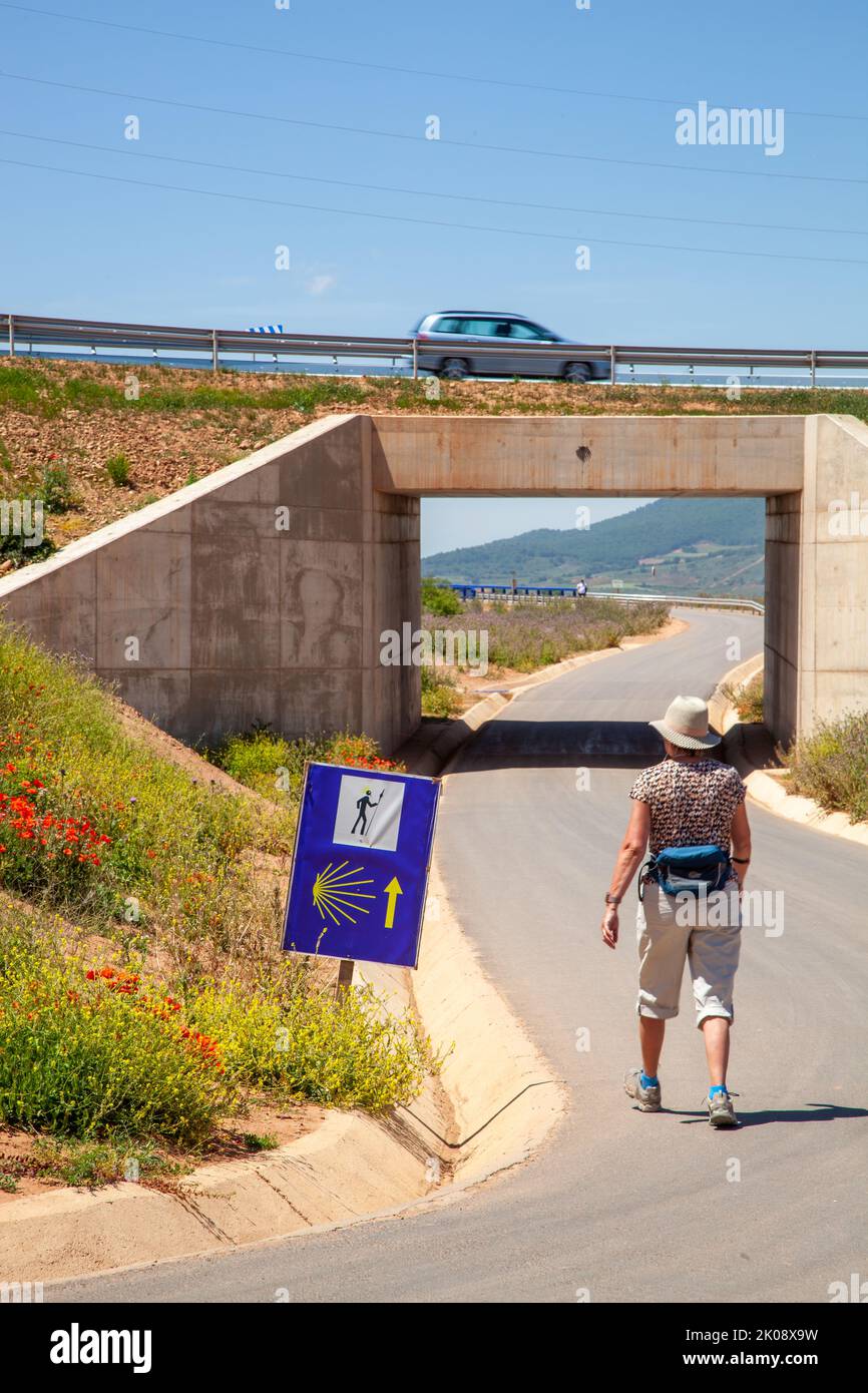 Pilgrim walking  the Camino de Santiago, the way of St James trail near Navarrete Spain Stock Photo