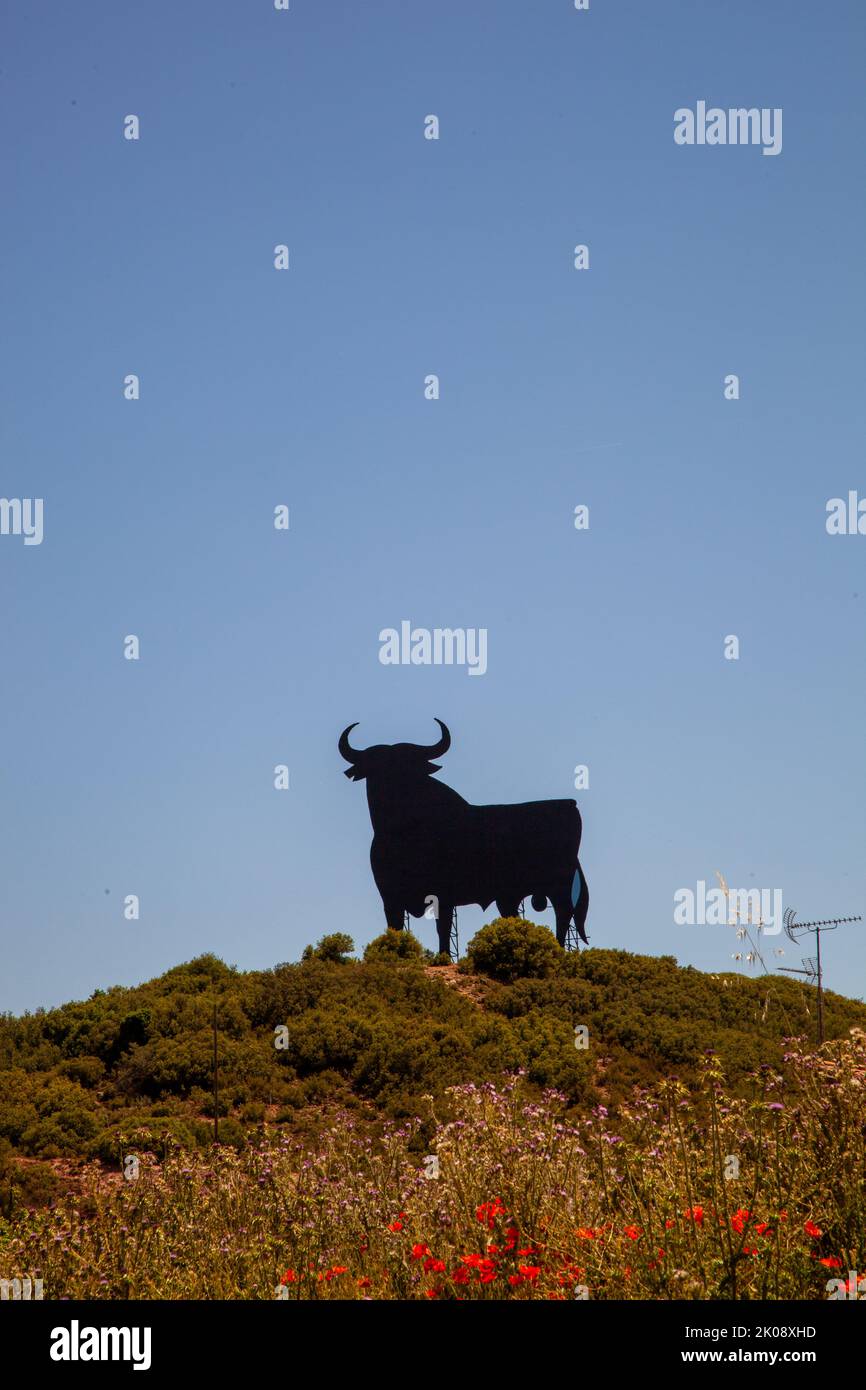 metal cut out profile of the Osbourne Bull standing on the Camino de Santiago Spanish pilgrimage route near Navarrete Rioja Spain Stock Photo