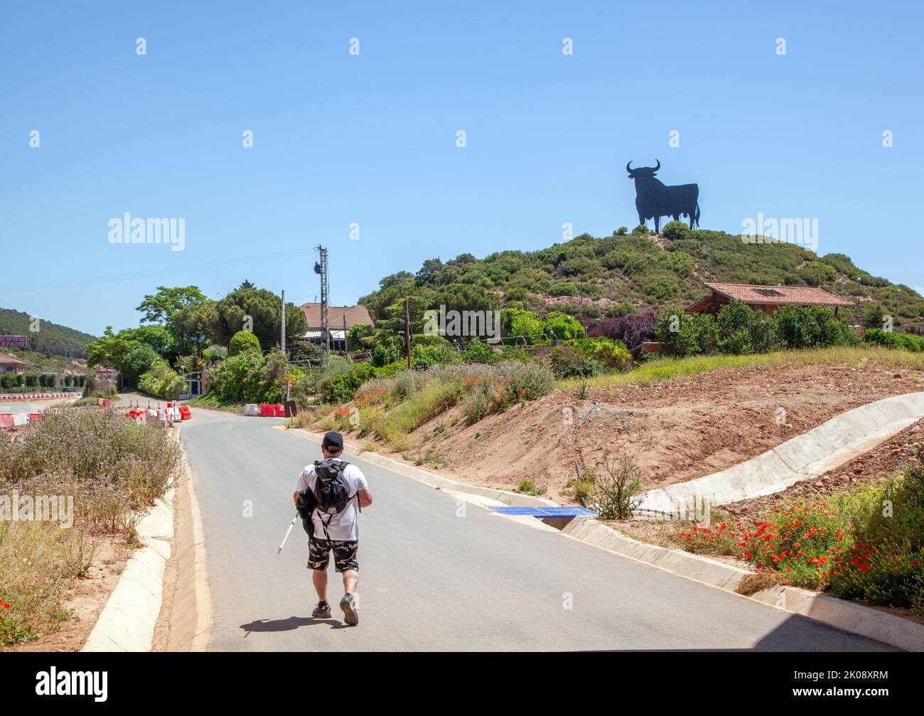 Pilgrim walking  the Camino de Santiago,  the way of St James trail between Navarrete and Najera Spain passing a steel cutout of the Osbourne Bull Stock Photo