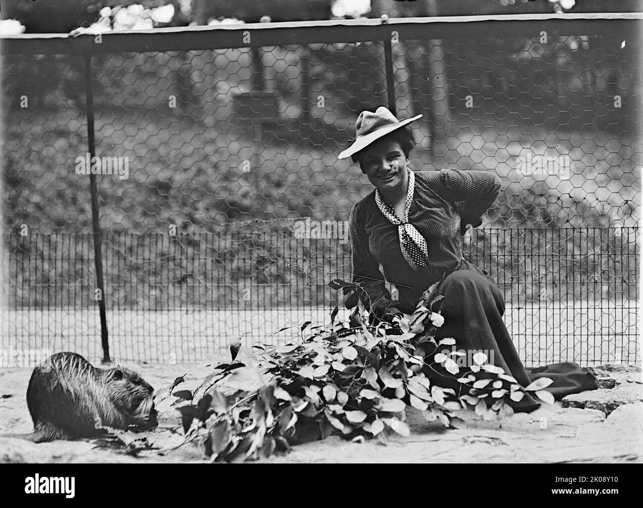 Mrs. Franklin Adams, nee Harriet Chalmers, at Zoo, 1912. [American explorer, writer and photographer Harriet Chalmers Adams. She lectured frequently on her extensive travels in South America, Asia and the South Pacific, and illustrated her talks with colour slides and films. She also published accounts of her journeys in National Geographic magazine. Married to Franklin Pierce Adams]. Stock Photo
