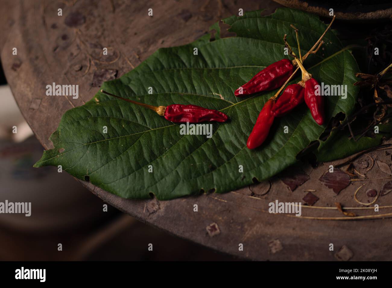 Dried red chilies on a leaf used for cooking shot in low light Stock Photo