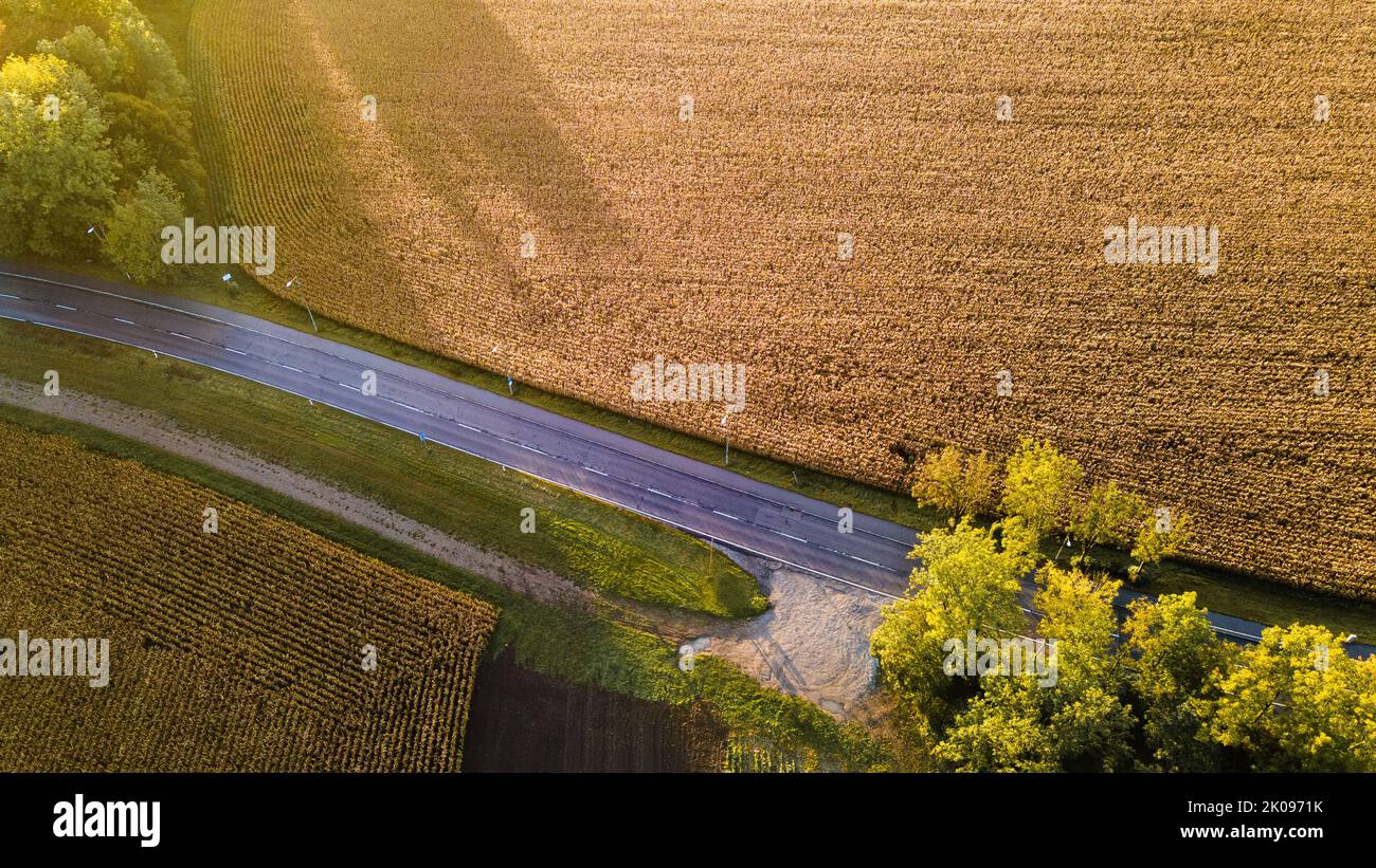 Car road going through the field at sunset. Landscapes in Bavaria ...