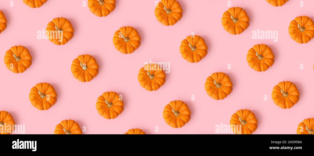Many ripe pumpkins on pink background. Pattern for design Stock Photo ...